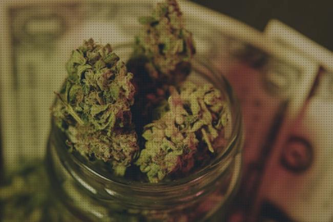 Review de semillas marihuana estados unidos