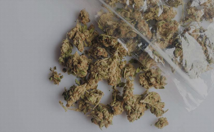 Review de semillas marihuana fuertes