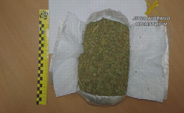 ¿Dónde poder comprar marihuanas semillas semillas marihuana por kilo?