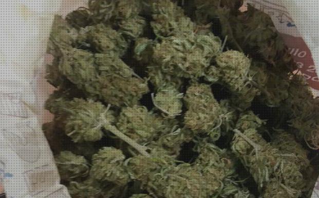 Las mejores 37 Semillas Marihuanas Por Kilos