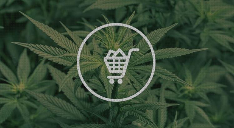 Las 29 Mejores semillas marihuanas shopify para comprar