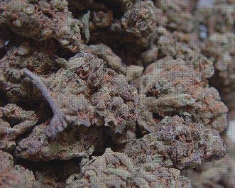 Las mejores marcas de marihuanas semillas semillas marihuana muy potente