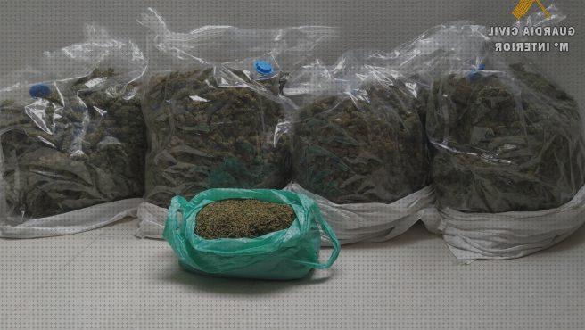 Las mejores marcas de marihuanas semillas semillas marihuana por kilo